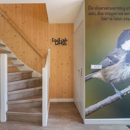 Tiny Zwarte Mees Hulshorst