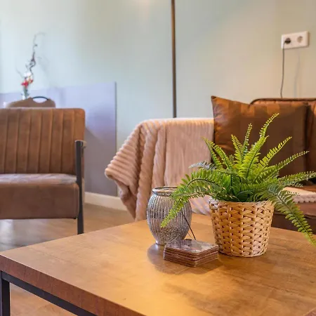 Tiny Zwarte Mees 度假居 许尔斯霍斯特