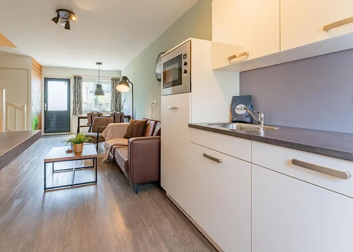 Tiny Zwarte Mees Dom wakacyjny Hulshorst