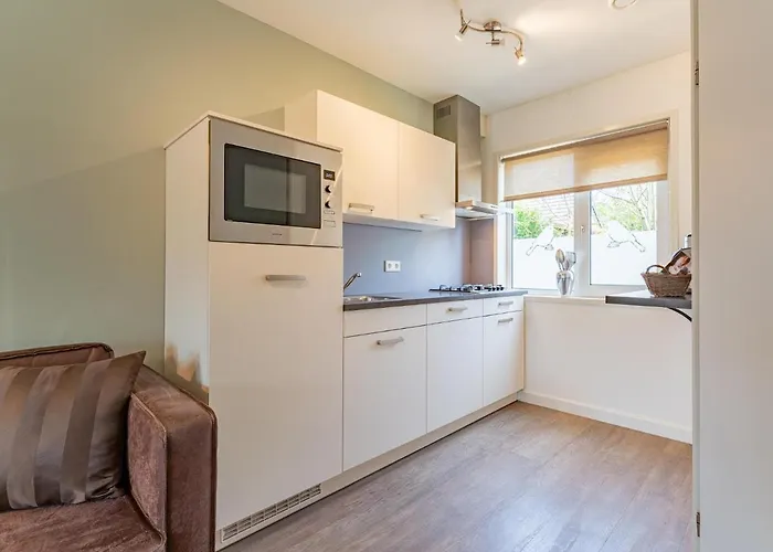 Tiny Zwarte Mees Dom wakacyjny *