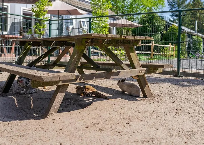 Tiny Zwarte Mees Hébergement de vacances