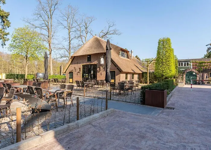 Tiny Zwarte Mees Dom wakacyjny *