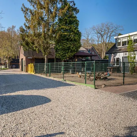 Semesterbostad Tiny Zwarte Mees Hulshorst